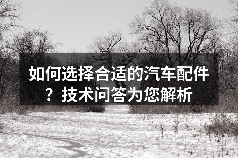 汽车配件多样化